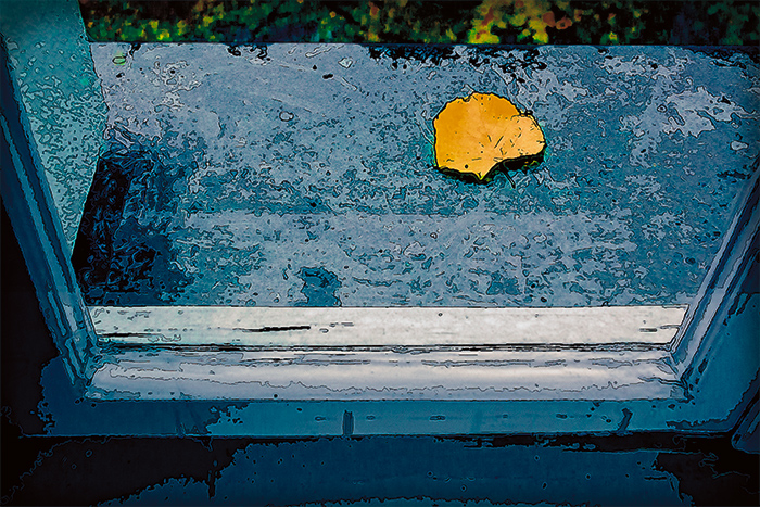 An impressionist work, a solitary, large, yellow leaf on a window ledge.